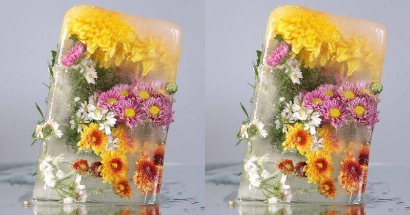 Instagram.com/_berjalanlebihjauh